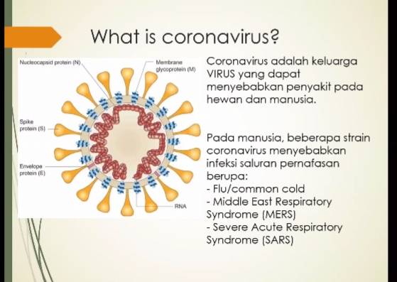 penjelasan mengenai virus corona
