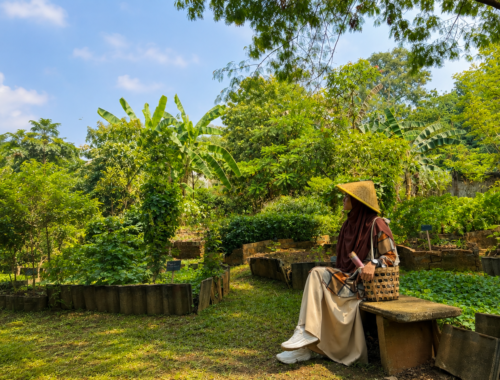 Seniman Pangan Bekasi dan kebun pangan lokal